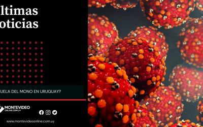 ¿VIRUELA DEL MONO EN URUGUAY?