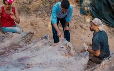 UN HOMBRE DESCUBRE EN EL PATIO DE SU CASA EL DINOSAURIO MÁS GRANDE DE EUROPA