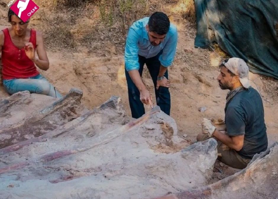 UN HOMBRE DESCUBRE EN EL PATIO DE SU CASA EL DINOSAURIO MÁS GRANDE DE EUROPA