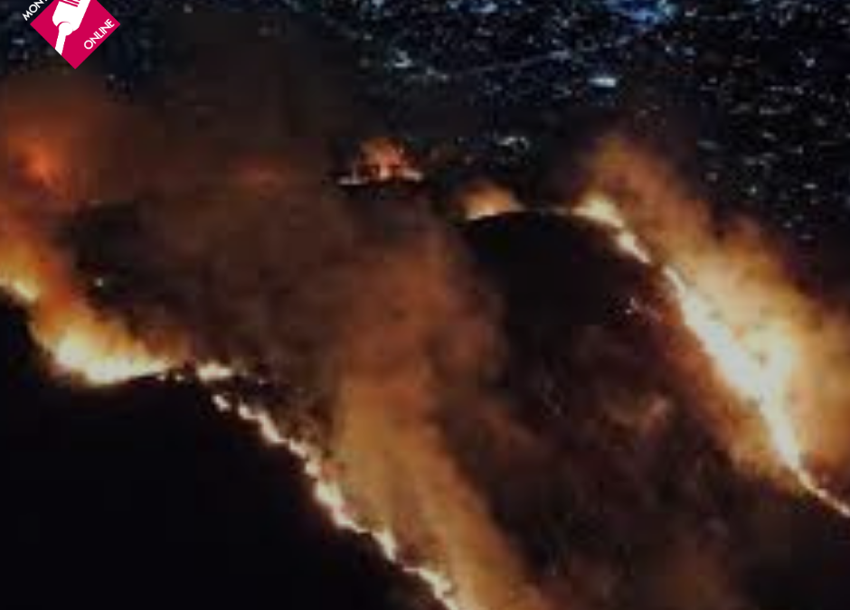 INCENDIO EN EL CERRO DE TORO, PIRIÁPOLIS: 100 HECTÁREAS QUEMADAS